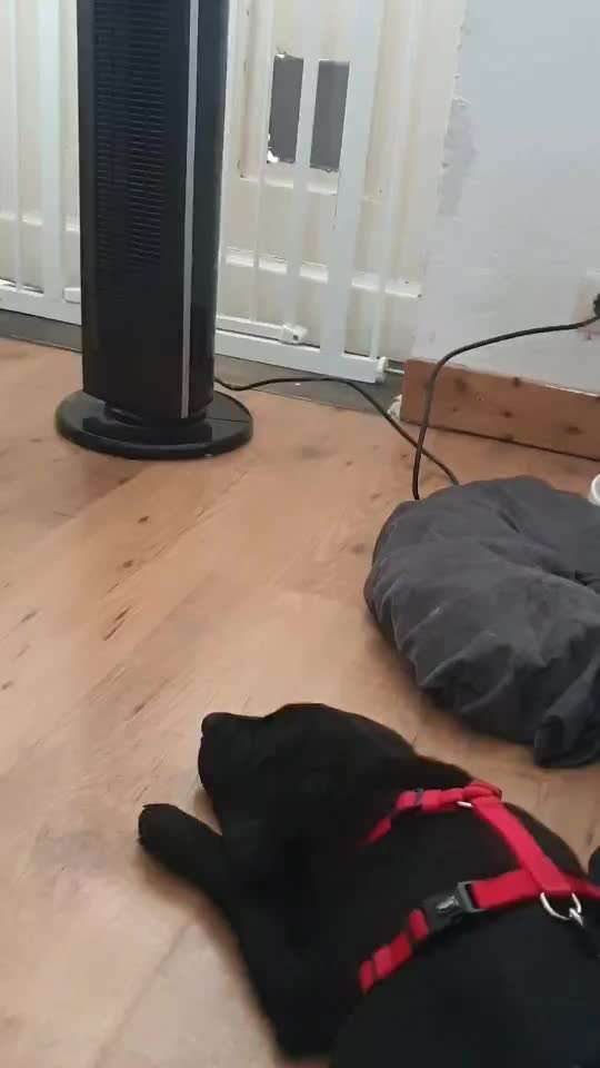 Geschlossene Box, eure Meinungen-Beitrag-Bild