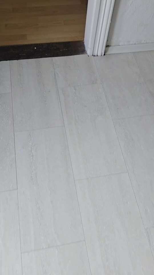 Stress bei Hunden durch Vermenschlichung?-Beitrag-Bild