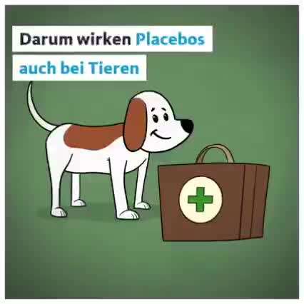 Scheinträchtigkeit-Beitrag-Bild