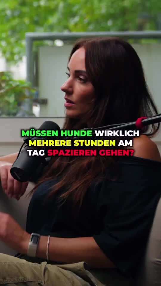 Wie oft Gassi?-Beitrag-Bild