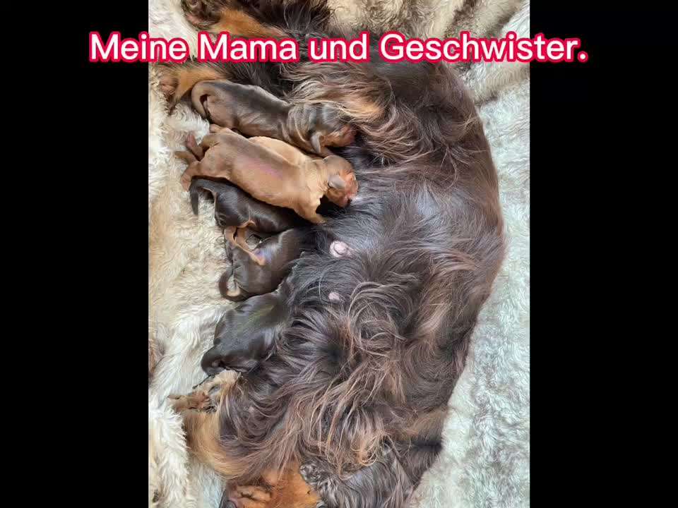 8. Kurzgeschichten Challenge 
Wie ich groß geworden bin-Beitrag-Bild