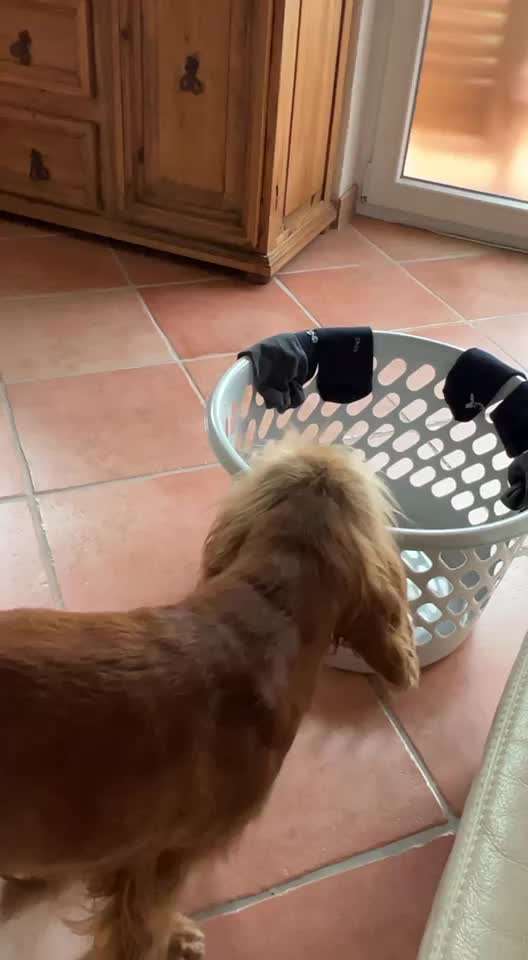 12. Kurzgeschichten-Challenge: Alltagshelfer-Beitrag-Bild