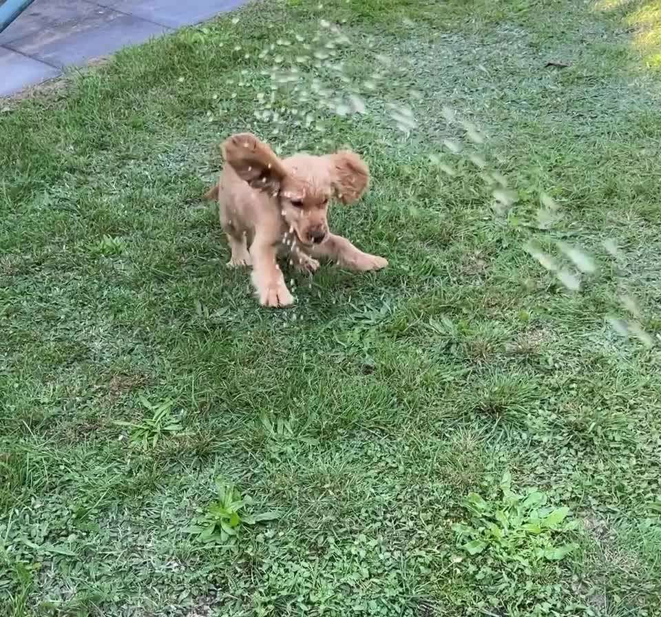 50. Video Challenge - Wasserscheu oder nicht-Beitrag-Bild