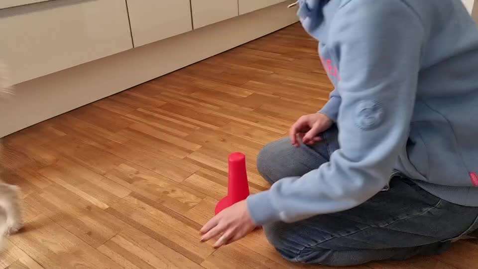 Trickdogging-Beitrag-Bild