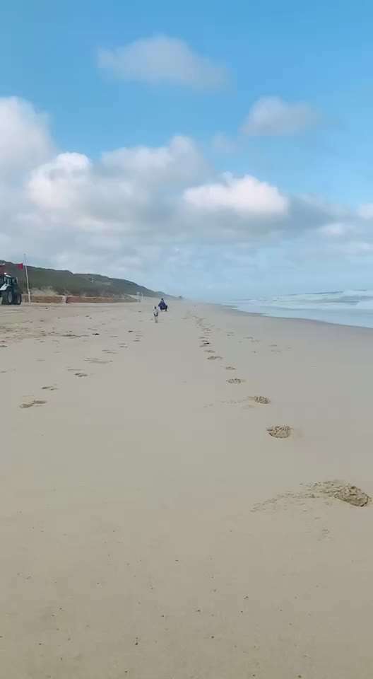 Windhunde - Treffen der besonderen Schönheiten
HERZLICH WILLKOMMEN-Beitrag-Bild