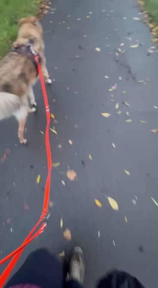 Verdacht auf Rückenschmerzen, Entzündung oder Verspannung?-Beitrag-Bild