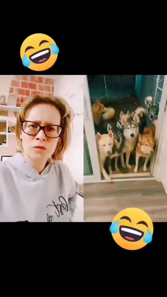 Hier ist der Spaßthread. Zum Schmunzeln und Kaputtlachen-Beitrag-Bild