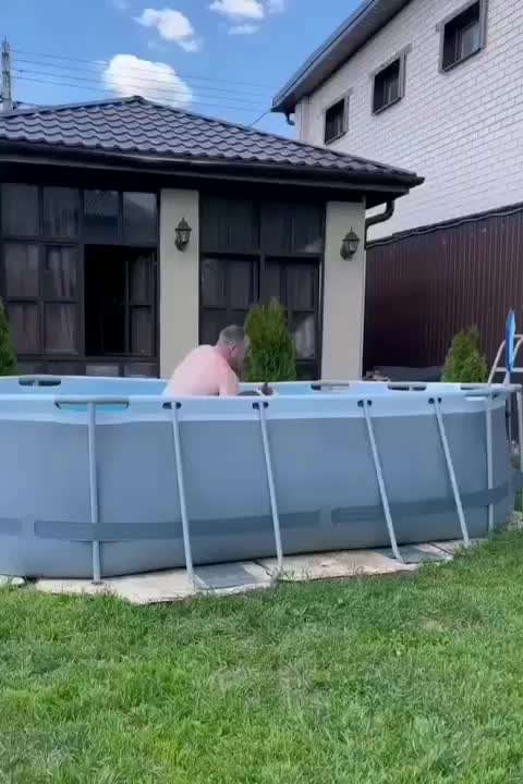 Hunde Memes-Beitrag-Bild