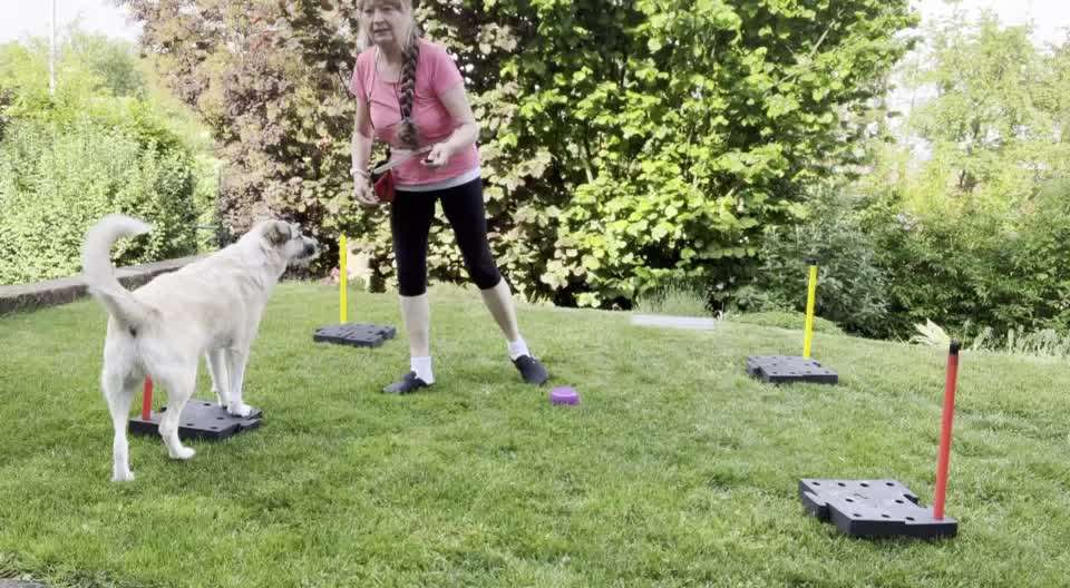 Heute schon trainiert...?-Beitrag-Bild