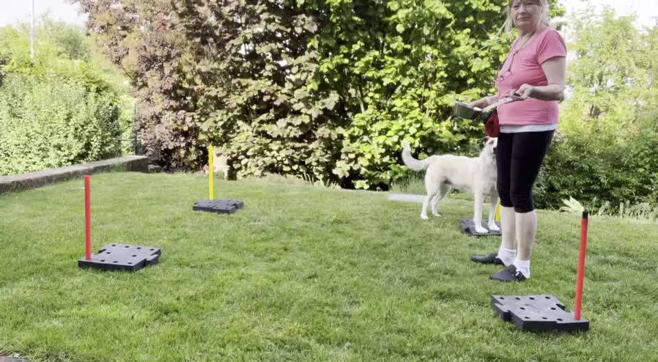 Heute schon trainiert...?-Beitrag-Bild