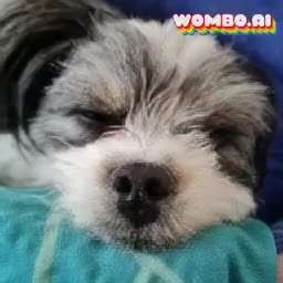 Hier ist der Spaßthread. Zum Schmunzeln und Kaputtlachen-Beitrag-Bild