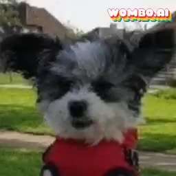 Hier ist der Spaßthread. Zum Schmunzeln und Kaputtlachen-Beitrag-Bild