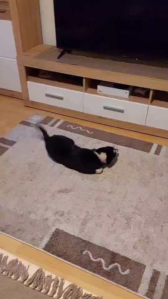 FOTO CHALLENGE Thema ,,durchdrehen"-Beitrag-Bild