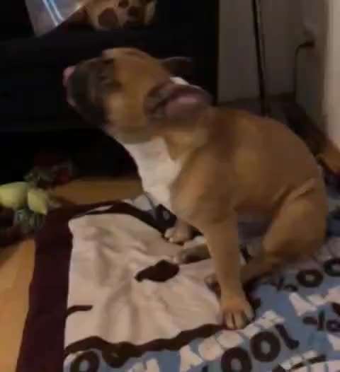 Verhaltensstörungen/Anfälle-Beitrag-Bild