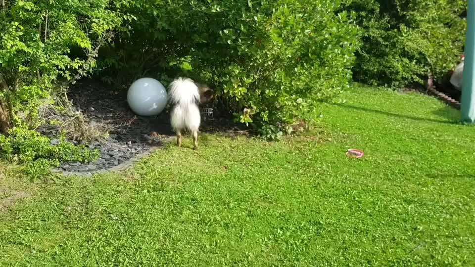 Analyse & Interpretation von Verhalten-Beitrag-Bild