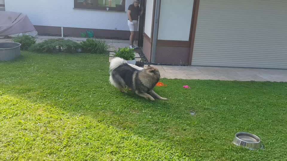 Analyse & Interpretation von Verhalten-Beitrag-Bild