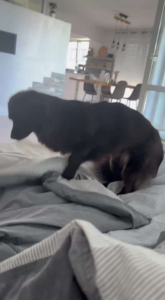 Unsicherheit Operation ja oder nein-Beitrag-Bild