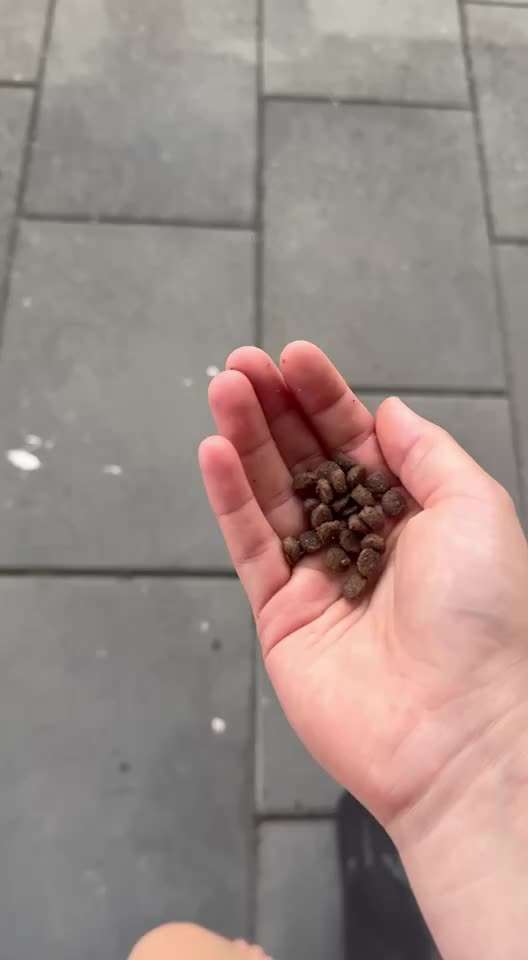 Unsicherheit Operation ja oder nein-Beitrag-Bild