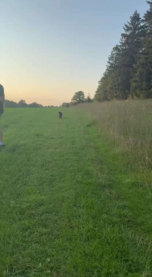 Unsicherheit Operation ja oder nein-Beitrag-Bild