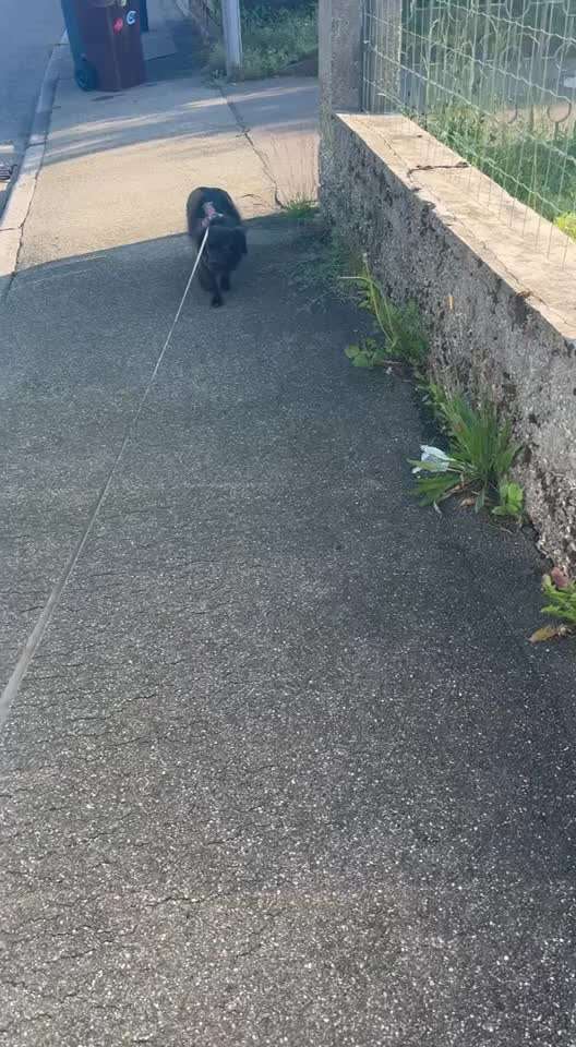 Unsicherheit Operation ja oder nein-Beitrag-Bild