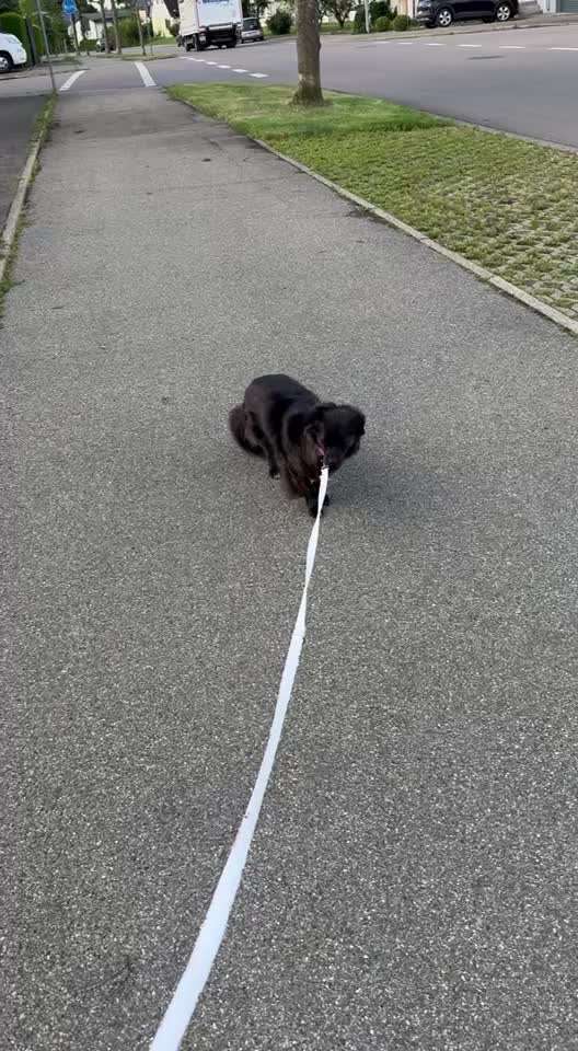 Unsicherheit Operation ja oder nein-Beitrag-Bild