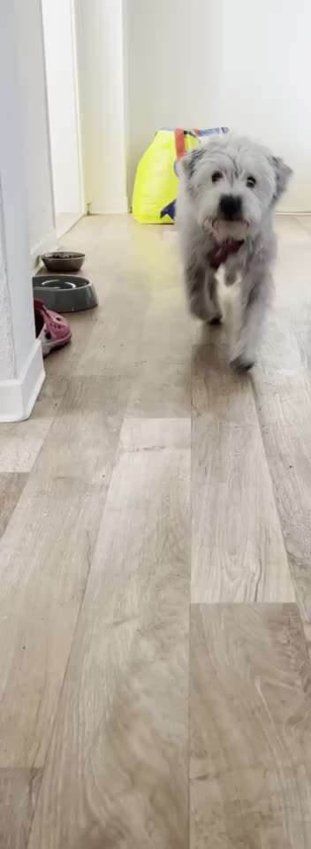 Krallen-Beitrag-Bild