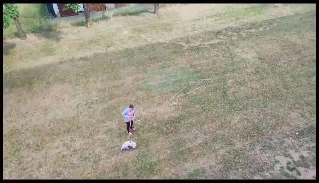 Impulskontrolle Challenge Nr. 11 "Bleib mit Ablenkung"-Beitrag-Bild