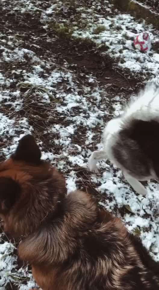 Videowettbewerb :)-Beitrag-Bild