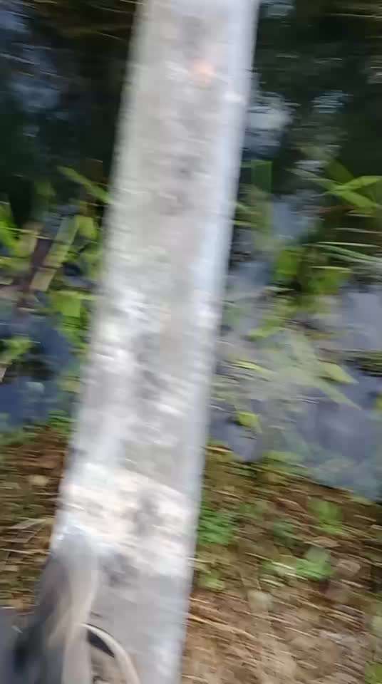 Austausch zur Fotografie-Beitrag-Bild