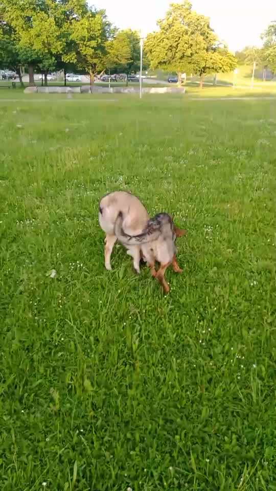 Austausch zur Fotografie-Beitrag-Bild