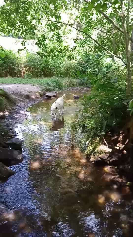 50. Video Challenge - Wasserscheu oder nicht-Beitrag-Bild