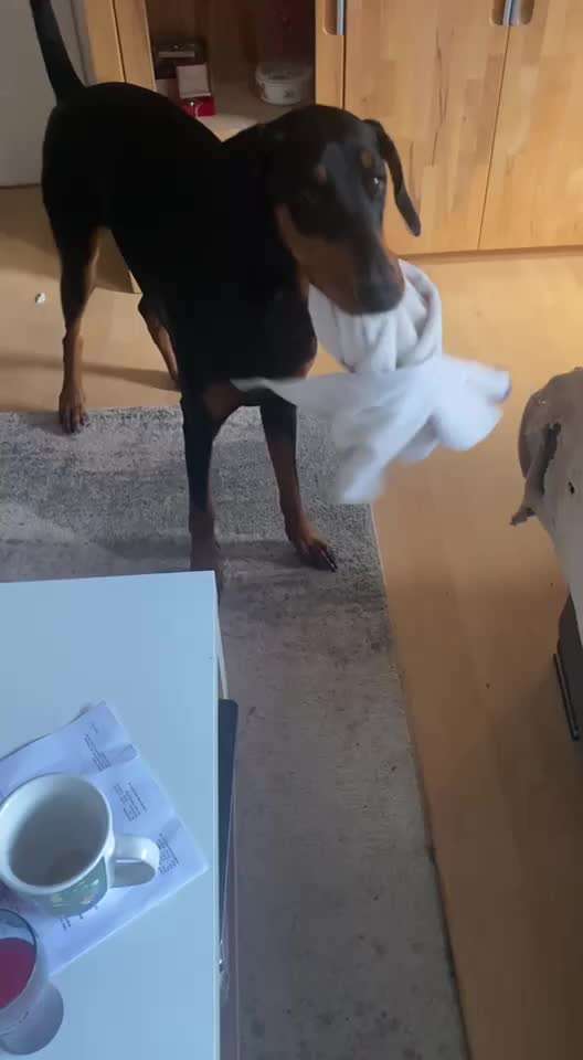 Beim Training völlig unkonzentriert.-Beitrag-Bild