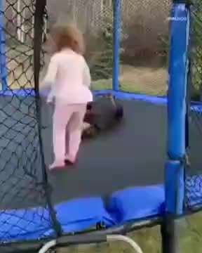 Hier ist der Spaßthread. Zum Schmunzeln und Kaputtlachen-Beitrag-Bild