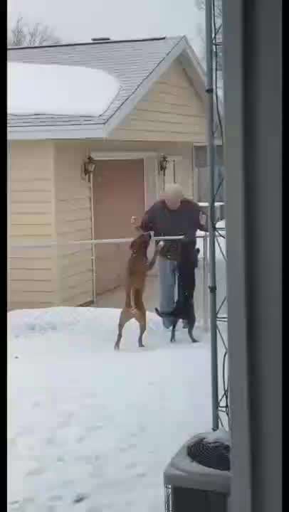 Hier ist der Spaßthread. Zum Schmunzeln und Kaputtlachen-Beitrag-Bild