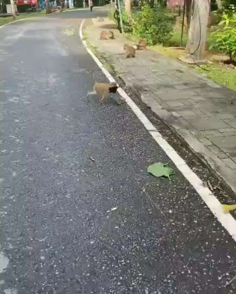 Hier ist der Spaßthread. Zum Schmunzeln und Kaputtlachen-Beitrag-Bild