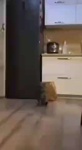 Hier ist der Spaßthread. Zum Schmunzeln und Kaputtlachen-Beitrag-Bild