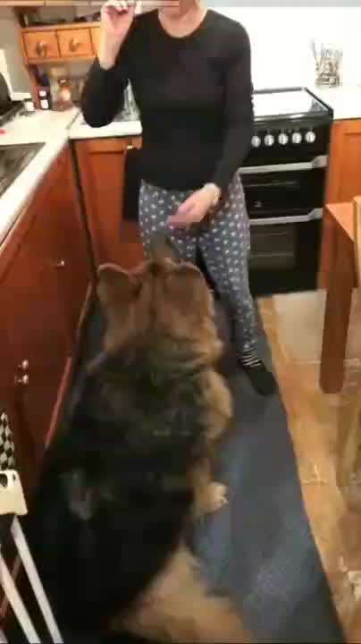 Hier ist der Spaßthread. Zum Schmunzeln und Kaputtlachen-Beitrag-Bild