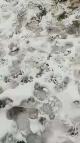 Hier ist der Spaßthread. Zum Schmunzeln und Kaputtlachen-Beitrag-Bild