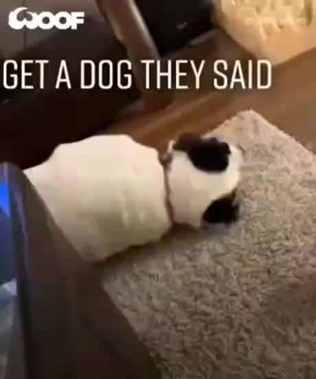 Hier ist der Spaßthread. Zum Schmunzeln und Kaputtlachen-Beitrag-Bild