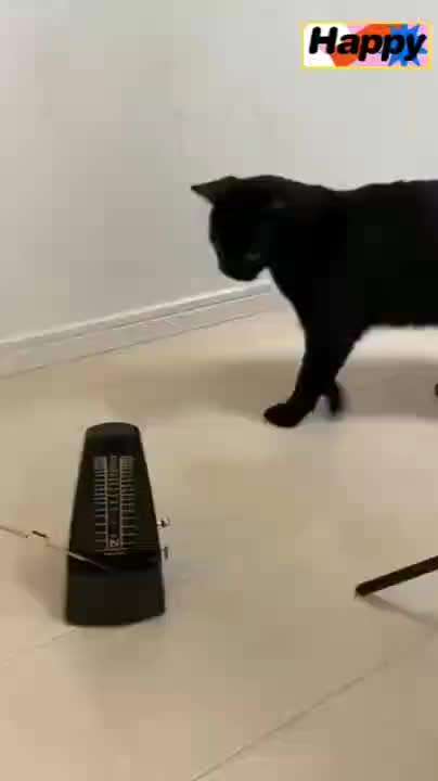 Hier ist der Spaßthread. Zum Schmunzeln und Kaputtlachen-Beitrag-Bild