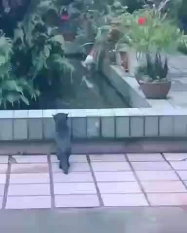 Hier ist der Spaßthread. Zum Schmunzeln und Kaputtlachen-Beitrag-Bild