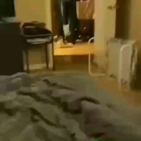 Hier ist der Spaßthread. Zum Schmunzeln und Kaputtlachen-Beitrag-Bild