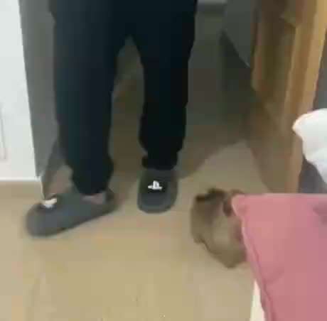 Hier ist der Spaßthread. Zum Schmunzeln und Kaputtlachen-Beitrag-Bild