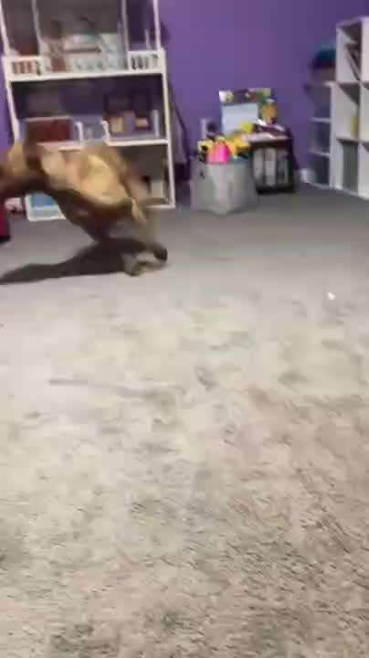 Hier ist der Spaßthread. Zum Schmunzeln und Kaputtlachen-Beitrag-Bild