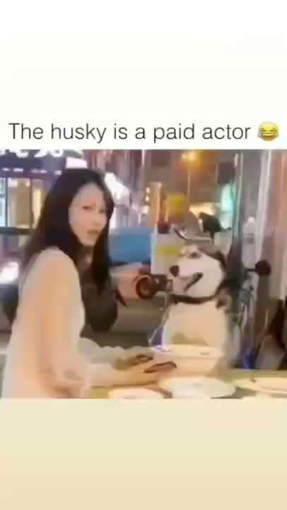 Hier ist der Spaßthread. Zum Schmunzeln und Kaputtlachen-Beitrag-Bild