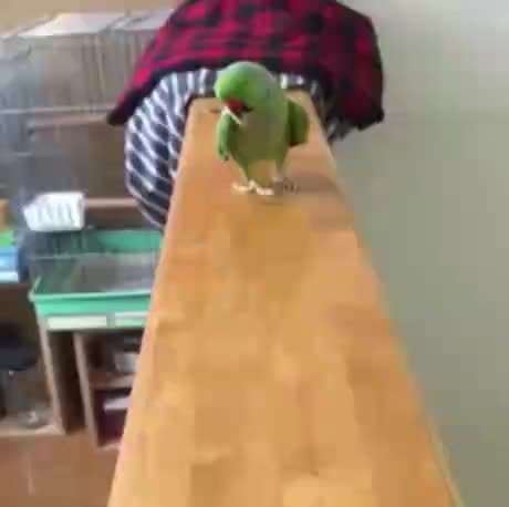 Hier ist der Spaßthread. Zum Schmunzeln und Kaputtlachen-Beitrag-Bild