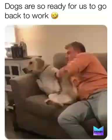 Hier ist der Spaßthread. Zum Schmunzeln und Kaputtlachen-Beitrag-Bild