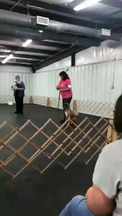 Hier ist der Spaßthread. Zum Schmunzeln und Kaputtlachen-Beitrag-Bild