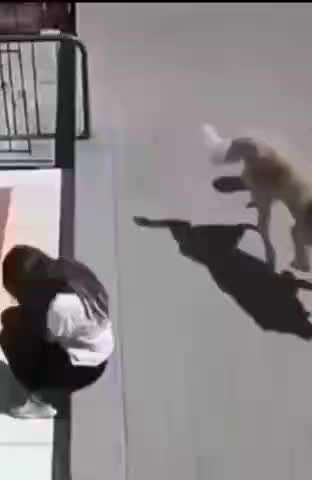 Hier ist der Spaßthread. Zum Schmunzeln und Kaputtlachen-Beitrag-Bild