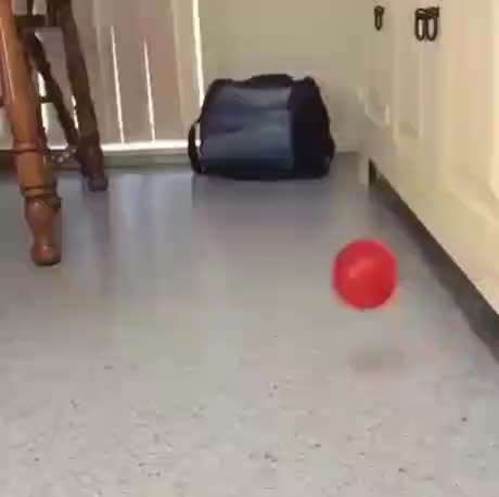 Hier ist der Spaßthread. Zum Schmunzeln und Kaputtlachen-Beitrag-Bild